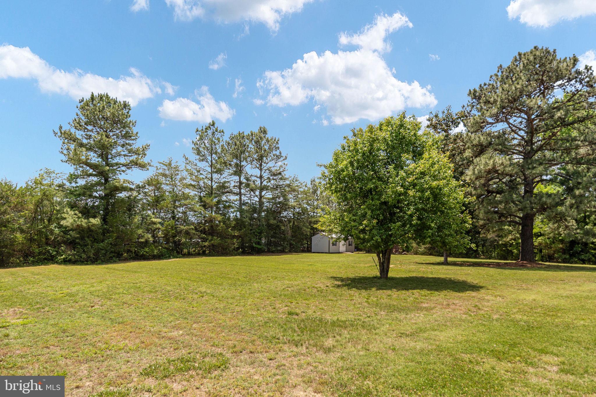 22088 Landora Bridge Road Ruther Glen, VA 22546 - Photo 116 of 122 Spacious green retreat under blue skies.