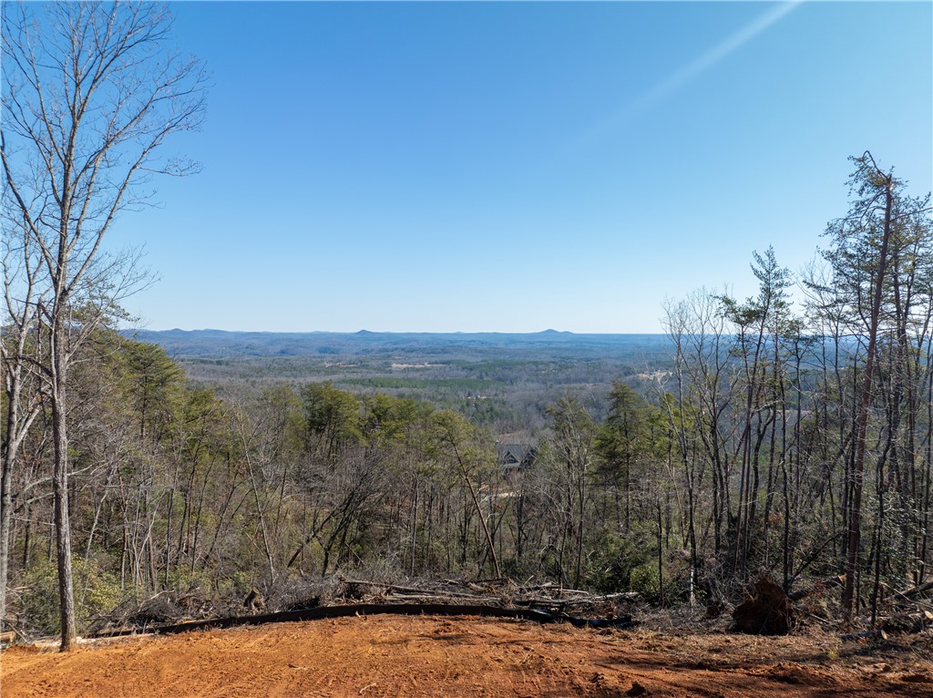Lot N-16 Jocassee Ridge Way Salem, SC 29676 - Photo 4 of 29