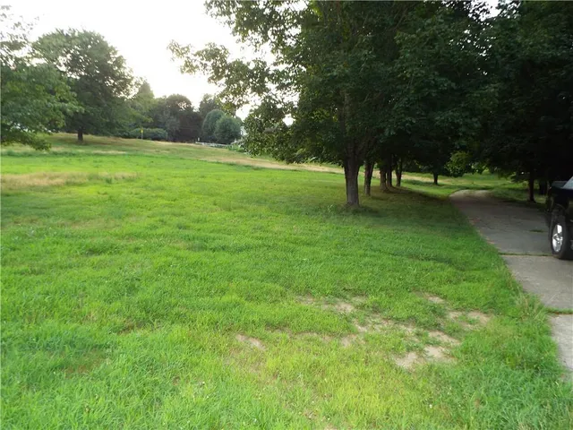 a view of a trees in a yard