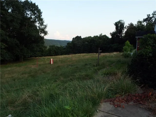 a view of outdoor space and yard