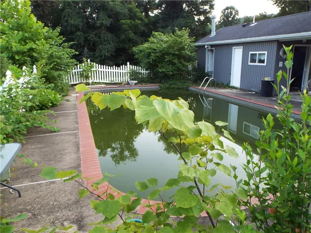 a view of a swimming pool with a patio and a garden