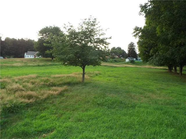 a view of field with tall trees