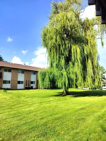 a view of a yard with a house and large trees