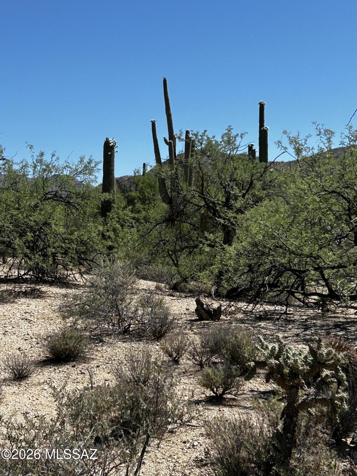 East Roger Road, Unit 46 Tucson, AZ 85749 - Photo 32 of 38