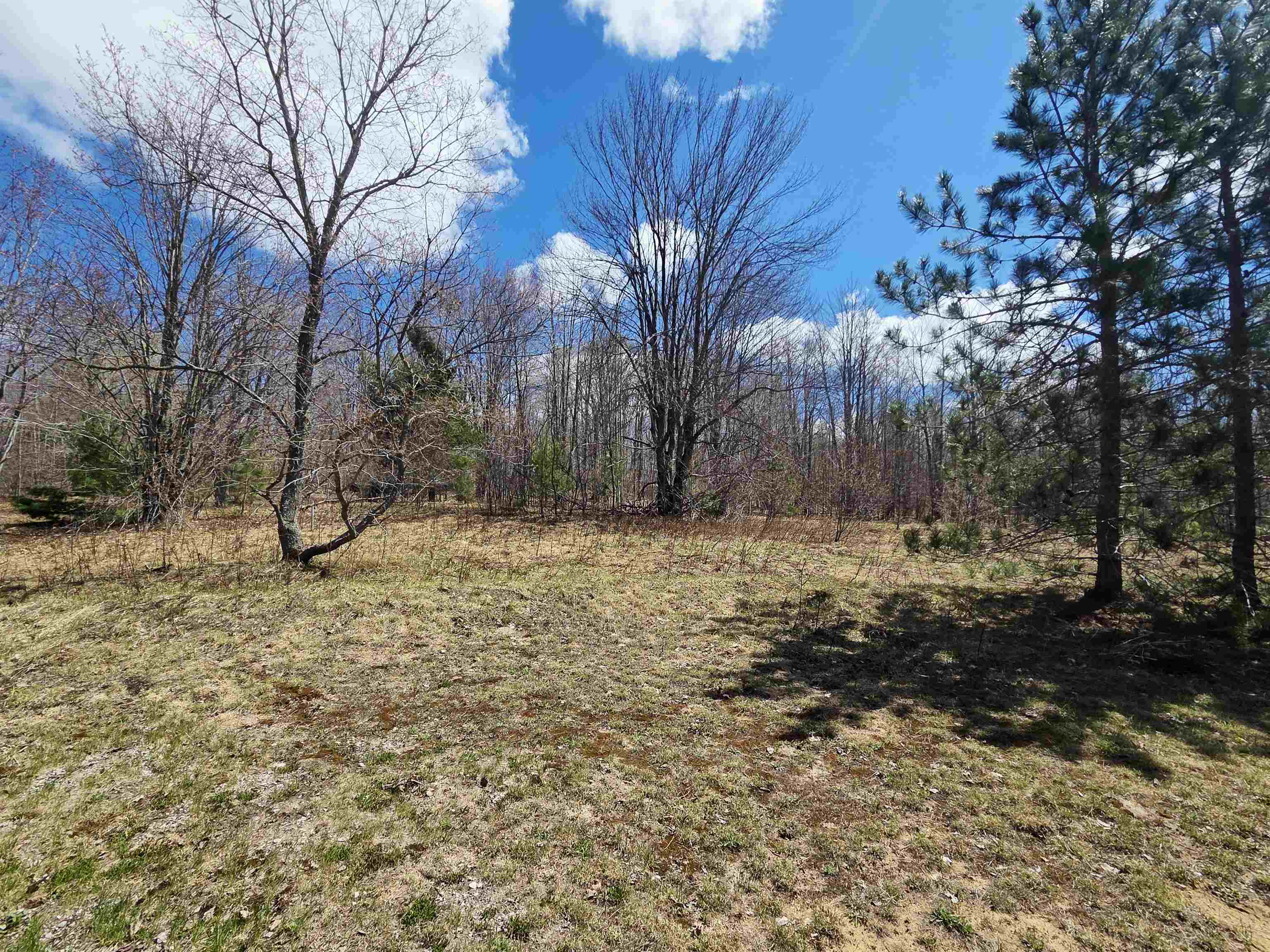 5144 Aaron Frederic, MI 49733 - Photo 39 of 41