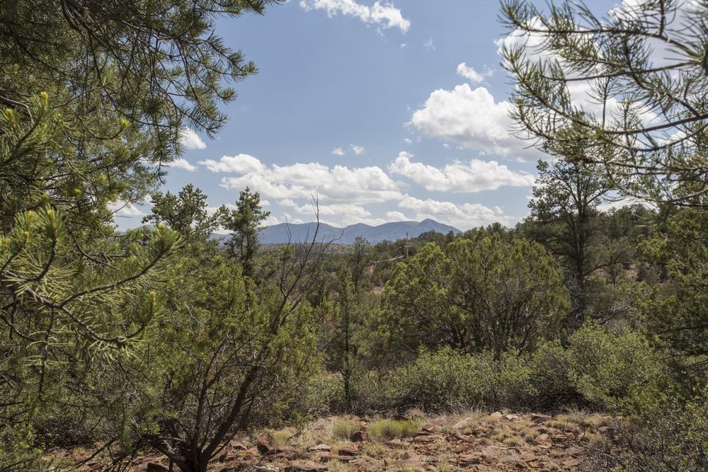 1200 West Airport Road Payson, AZ 85541 - Photo 7 of 50