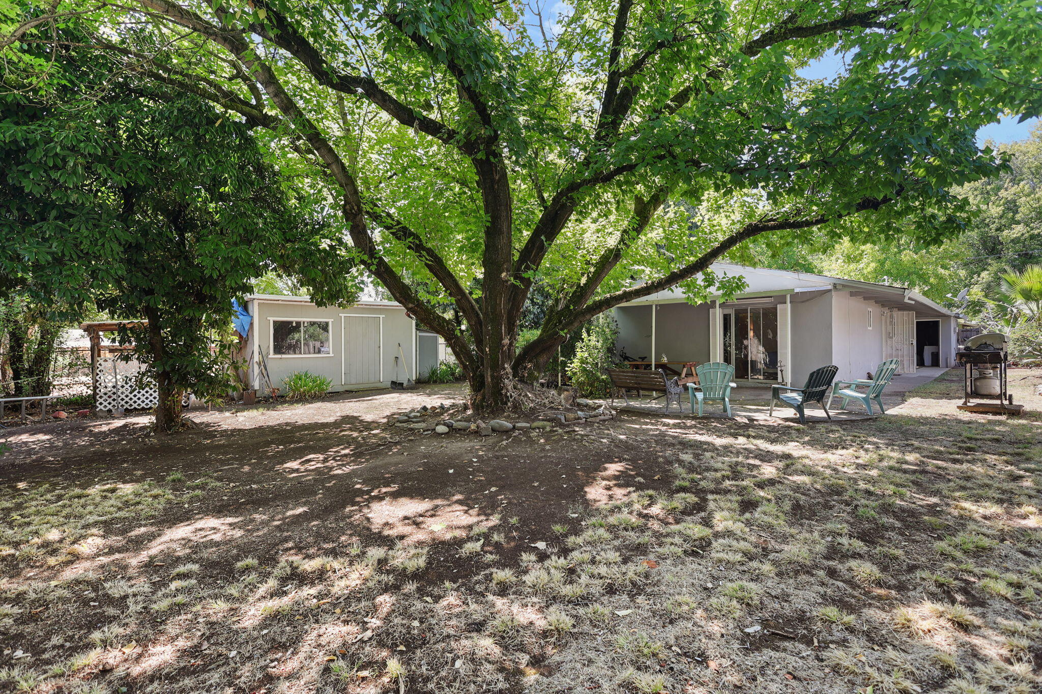 2165 Paris Avenue Redding, CA 96001 - Photo 14 of 22 a view of a house with yard and a tree