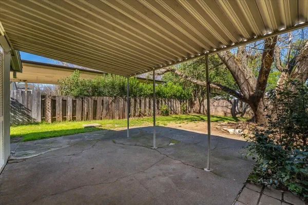 a view of a backyard with plants and large tree