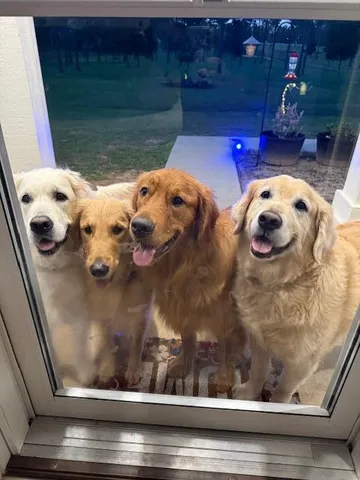 $2,200 | 2801 Patriot Rdg Drive, Crestview, FL 32539