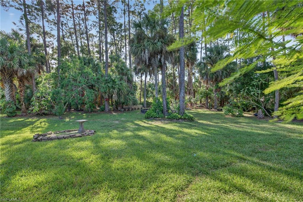 1741 17th Street Southwest Naples, FL 34117 - Photo 40 of 50 Backyard