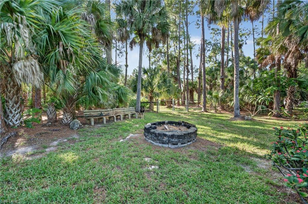 1741 17th Street Southwest Naples, FL 34117 - Photo 42 of 50 Backyard