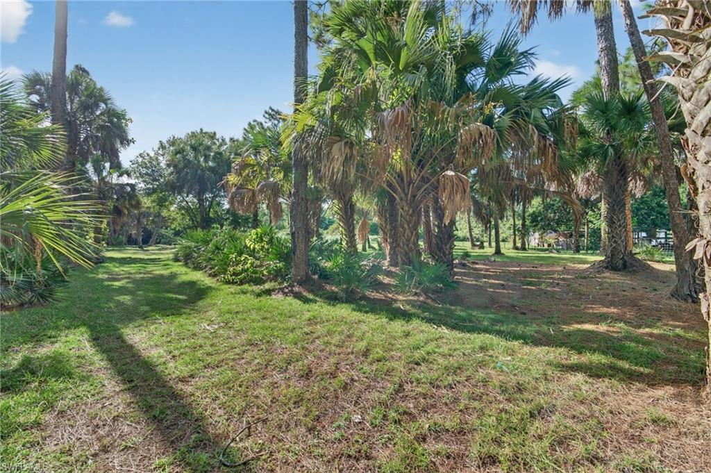 1741 17th Street Southwest Naples, FL 34117 - Photo 44 of 50 Backyard