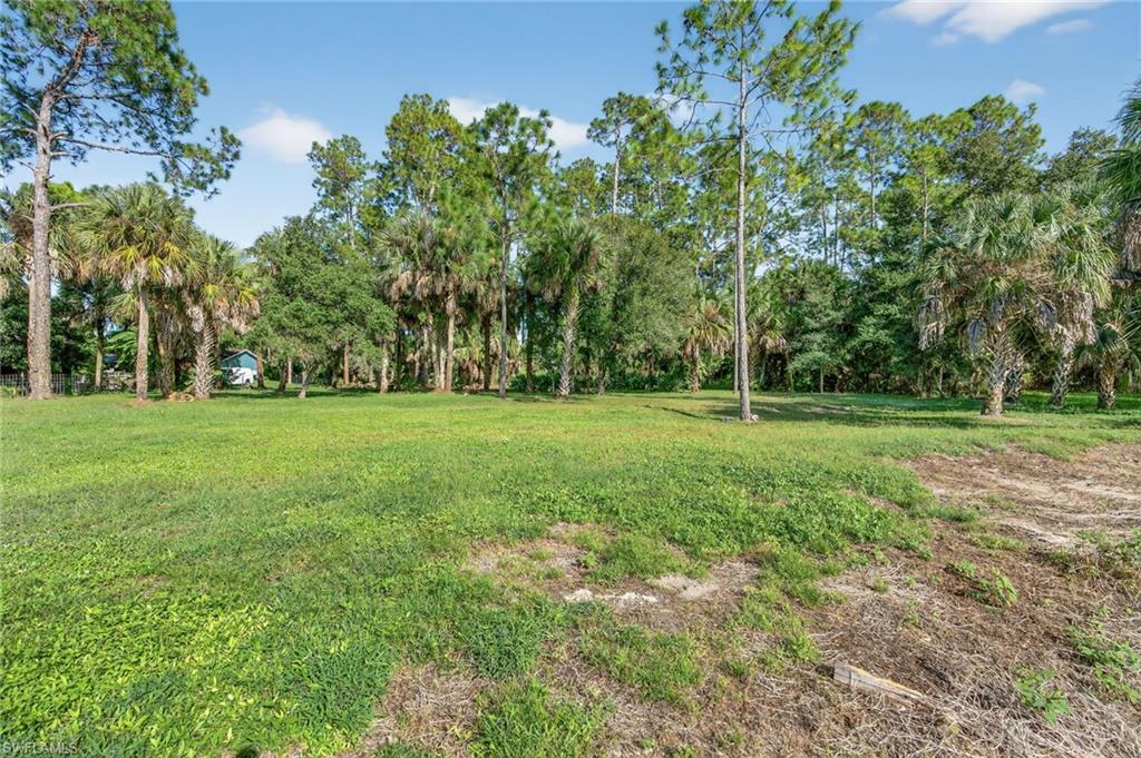 1741 17th Street Southwest Naples, FL 34117 - Photo 46 of 50 Backyard