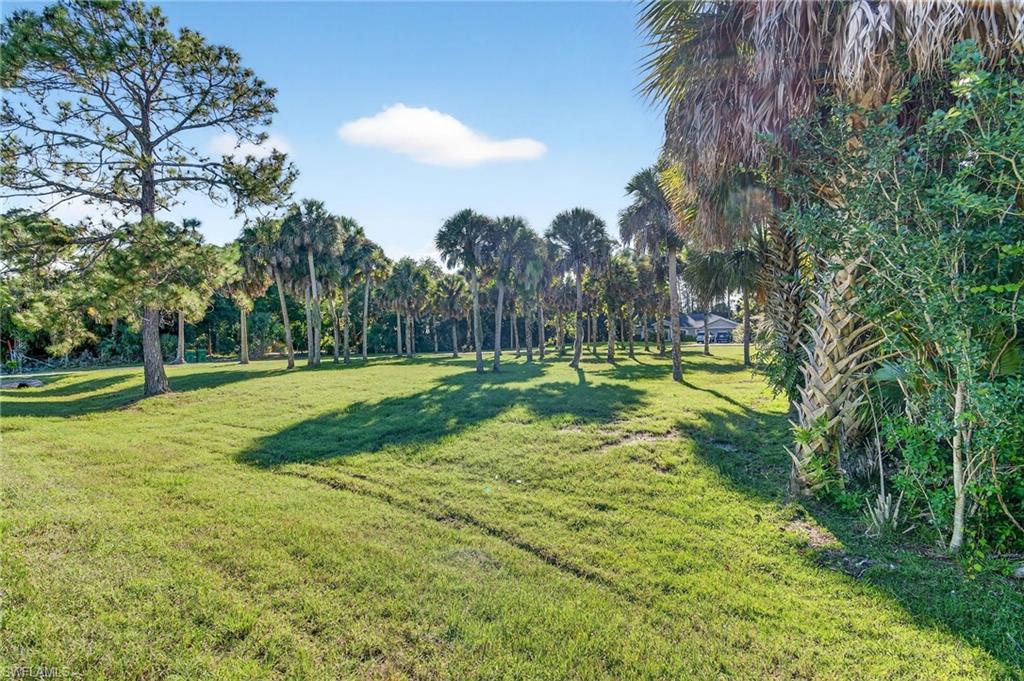 1741 17th Street Southwest Naples, FL 34117 - Photo 6 of 50 Front Yard