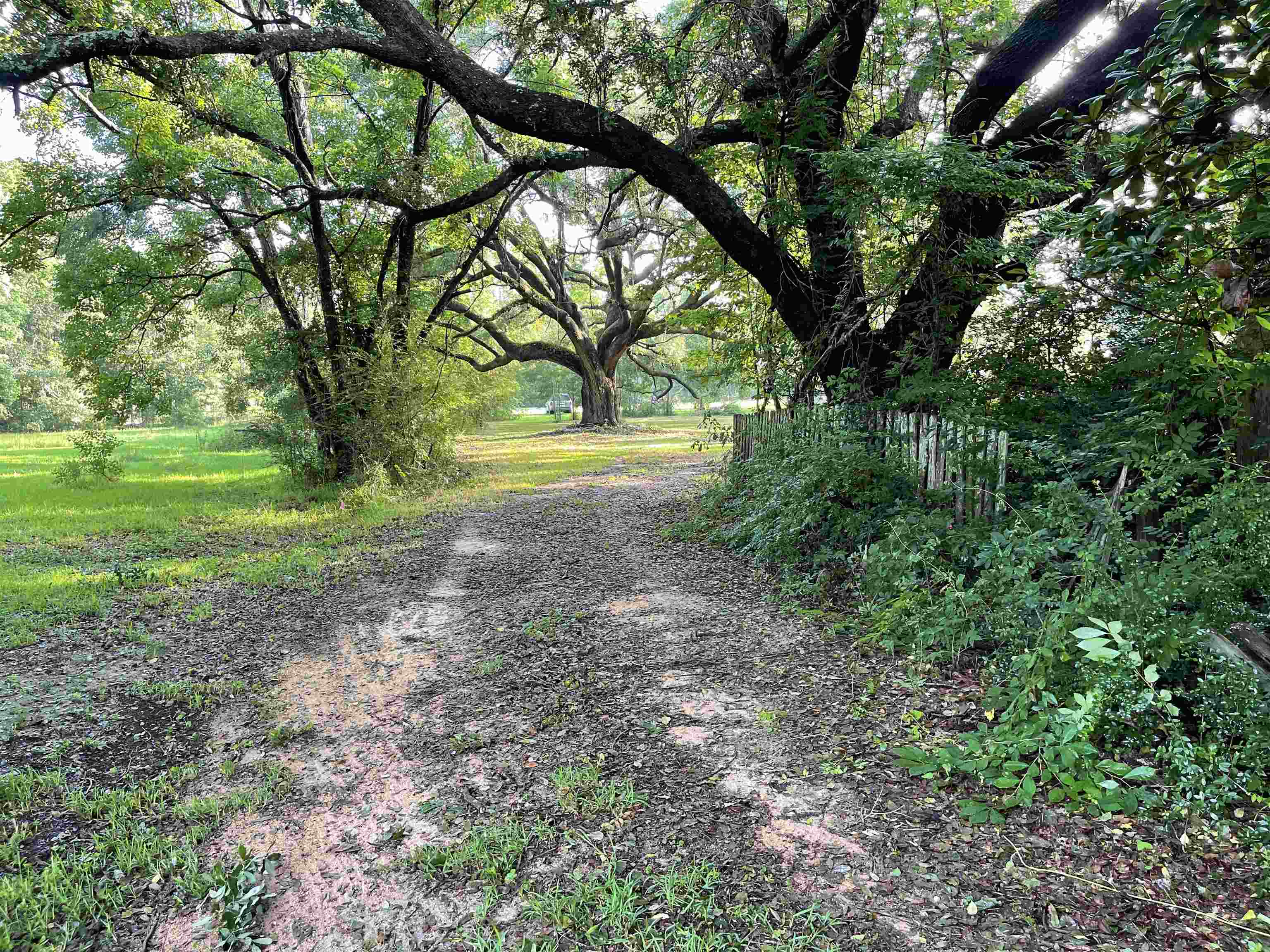 35561 County Road 39 Stapleton, AL 36578 - Photo 12 of 14