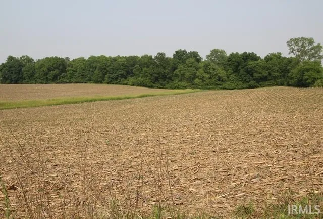 $625,000 | 0 South State Road 35, Muncie, IN 47302