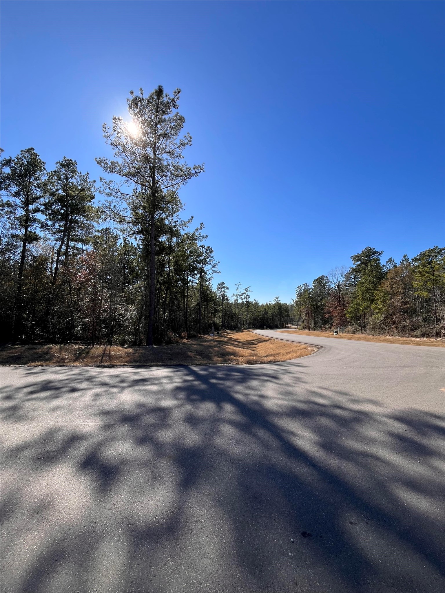86 Coyote Run Willis, TX 77378 - Photo 8 of 23 a view of a lake view