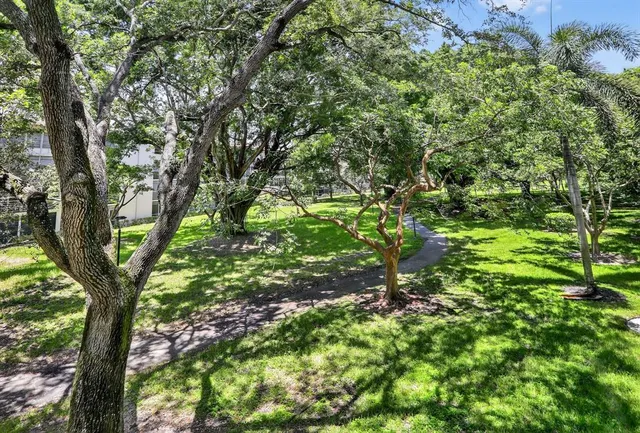 a view of a tree in a garden
