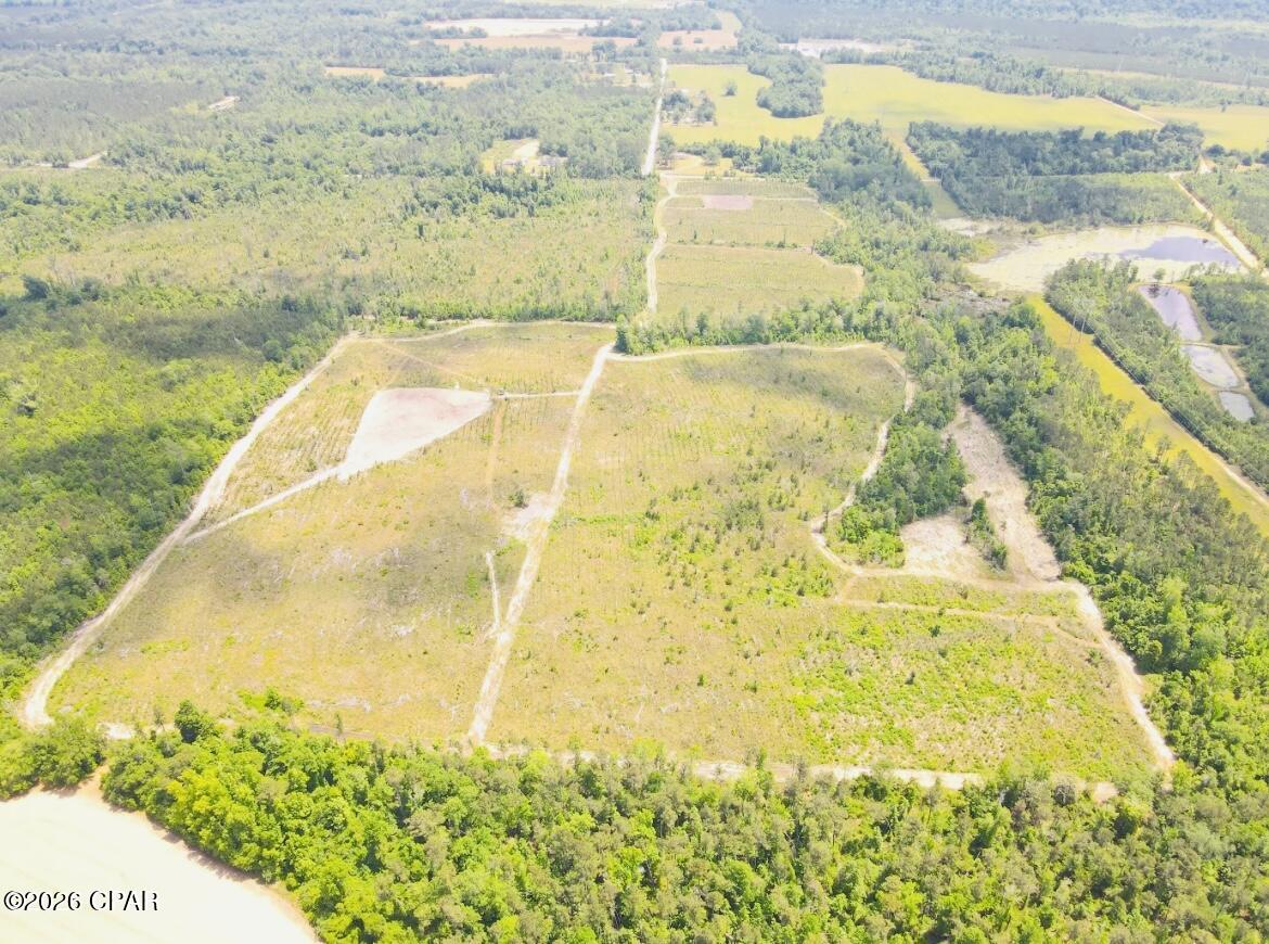 Tbd Sinai Road Sneads, FL 32460 - Photo 4 of 24