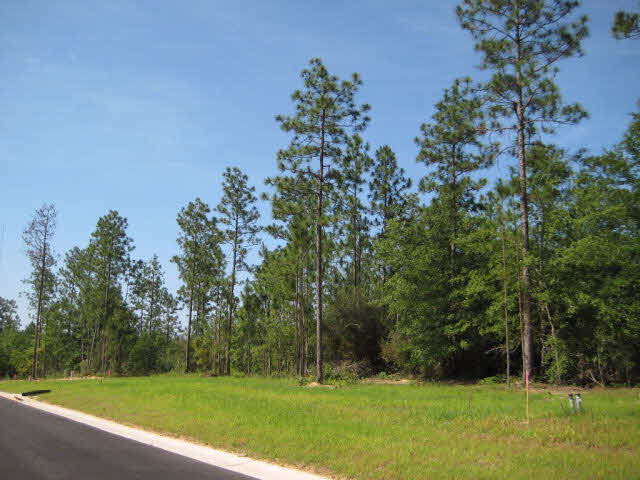 33733 Rutland Lane Daphne, AL 36527 - Photo 24 of 26