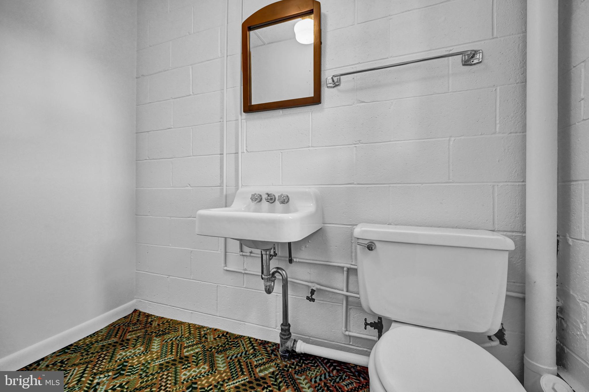 303 Chestnut Street Delta, PA 17314 - Photo 30 of 39 LL half bath/room for shower!
