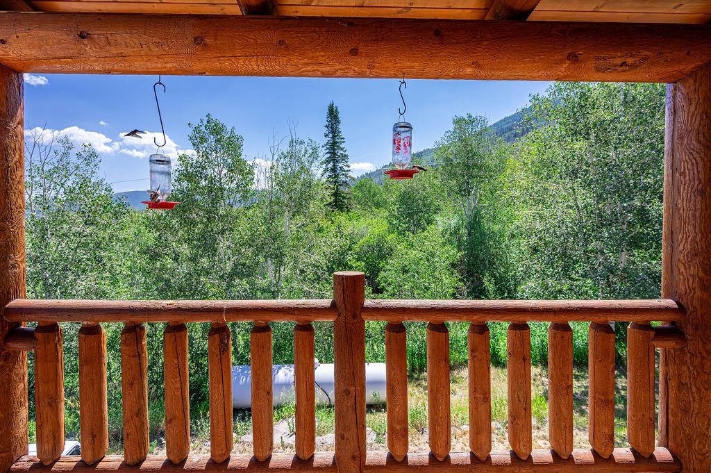 395 Powder Ridge Circle Mesa, CO 81643 - Photo 6 of 41