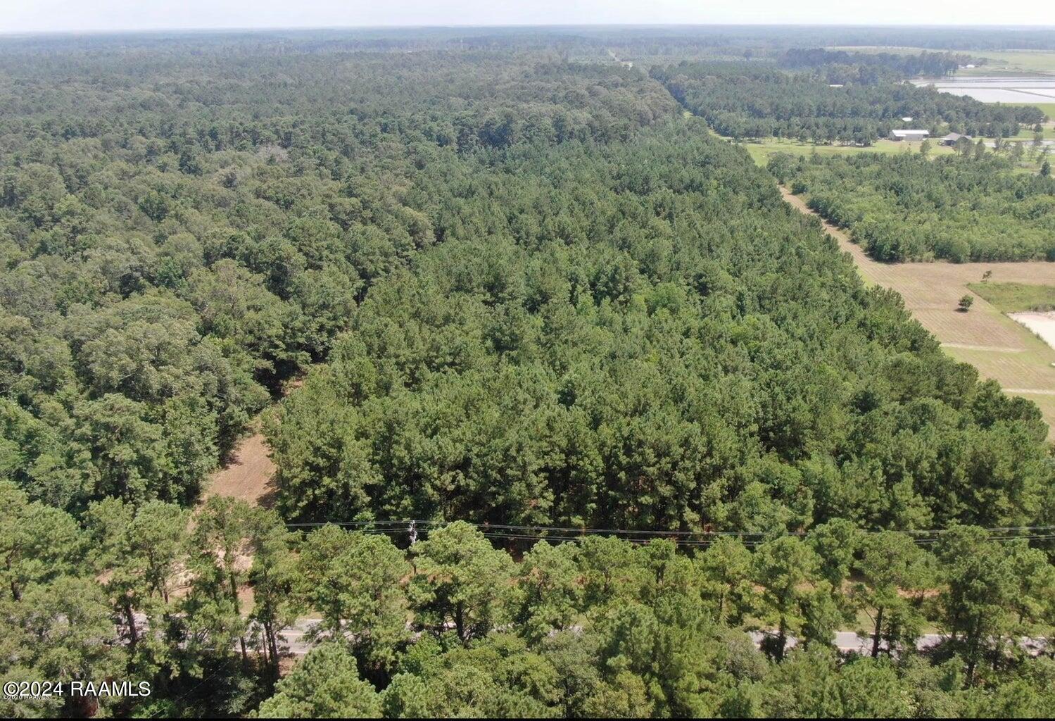 0 Redich Road Basile, LA 70515 - Photo 4 of 6 redich 4