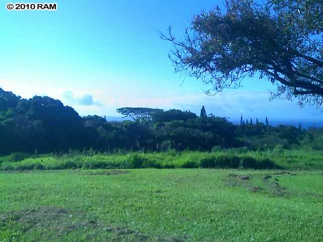 280 South Holokai Road Haiku, HI 96708 - Photo 3 of 5 a view of a back yard