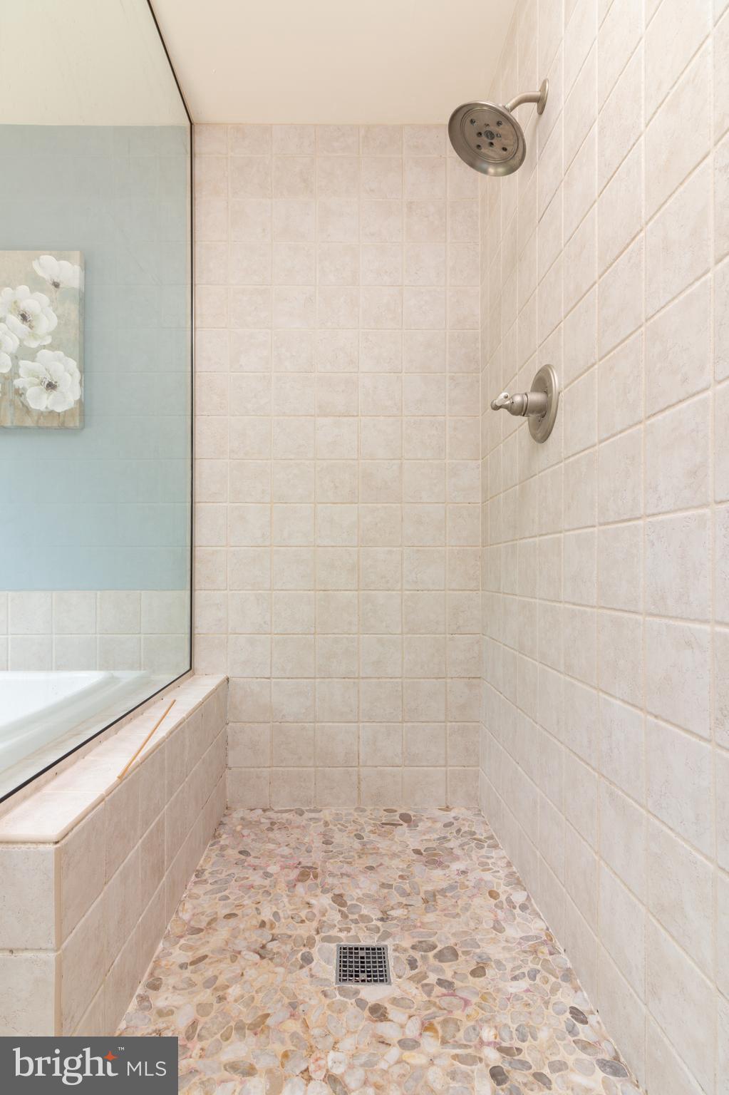 7524 Woodville Road Mount Airy, MD 21771 - Photo 11 of 22 Glass enclosed stand up shower