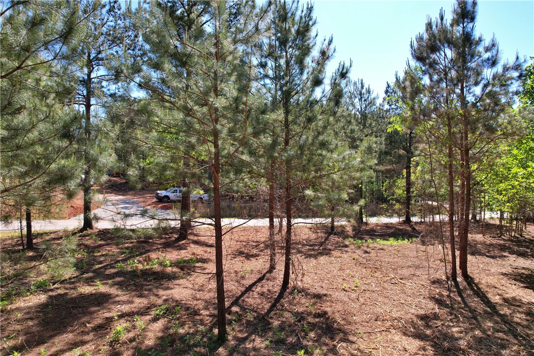 Lot 134 Mcalister Rd Union West Union, SC 29696 - Photo 22 of 43 This verdant, wooded lot offers an ideal setting for a private retreat.