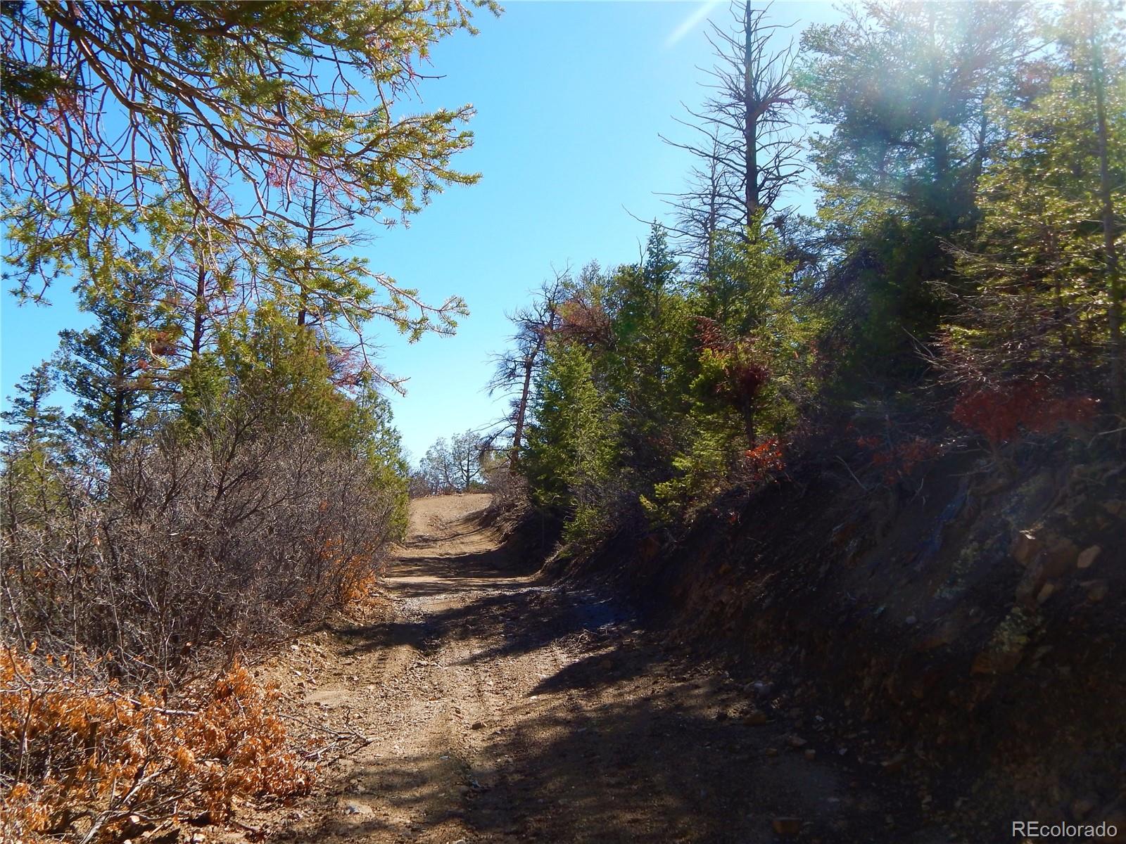 Box Canyon Road Salida, CO 81201 - Photo 3 of 8 Gallery Image 3