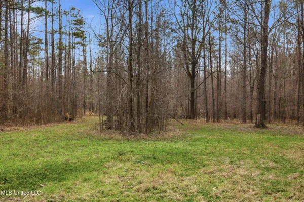$494,000 | Robinson Springs Road, Madison, MS 39110