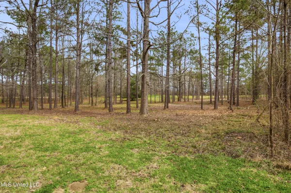 $494,000 | Robinson Springs Road, Madison, MS 39110