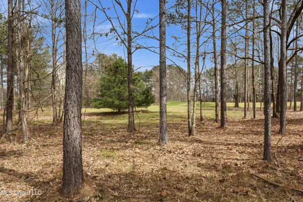 $494,000 | Robinson Springs Road, Madison, MS 39110
