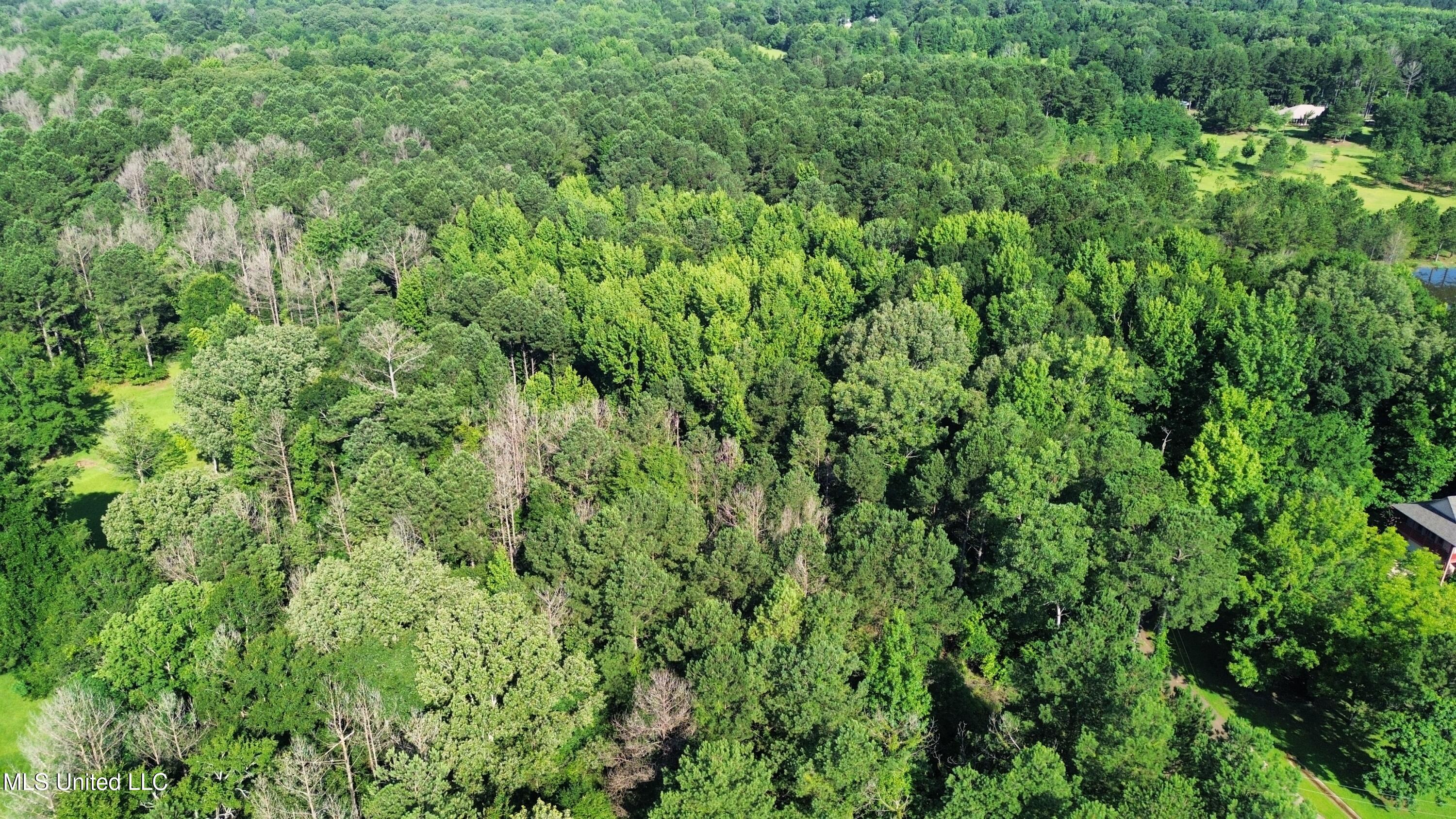 Robinson Springs Road Madison, MS 39110 - Photo 5 of 8 dji_fly_20250624_092254_87_1750776453822