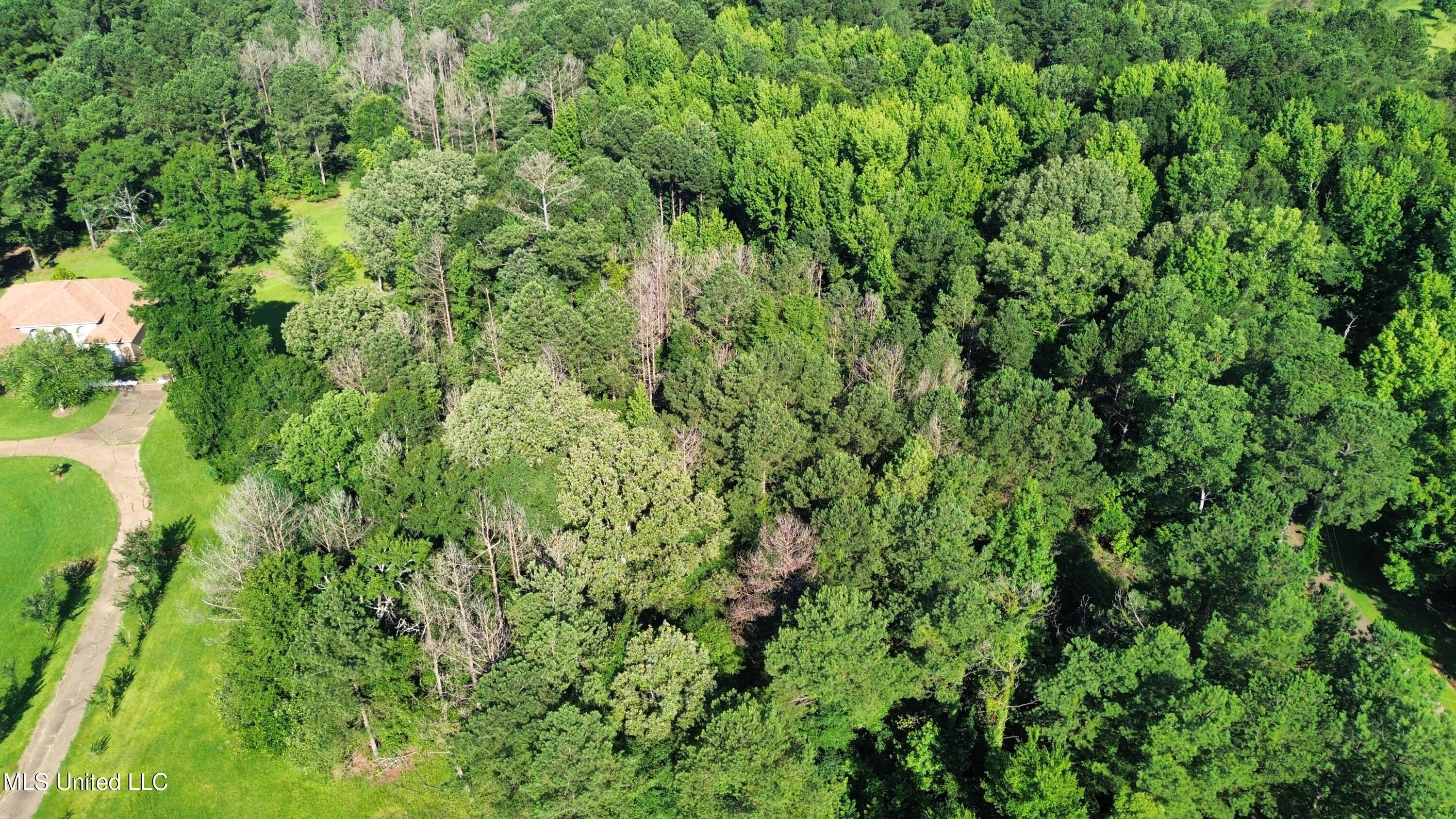 Robinson Springs Road Madison, MS 39110 - Photo 6 of 8 dji_fly_20250624_092236_86_1750776454851