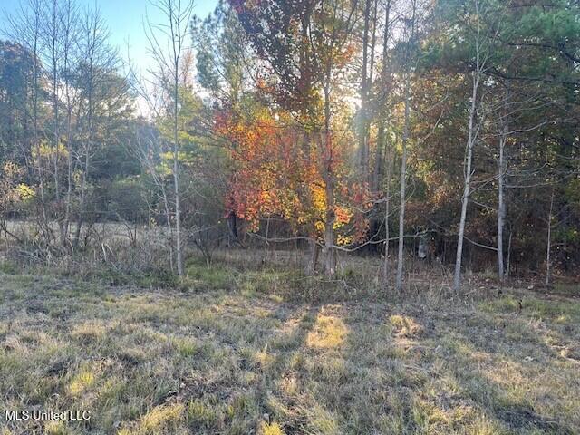 Robinson Springs Road Madison, MS 39110 - Photo 7 of 8 1