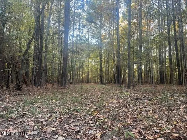 $494,000 | Robinson Springs Road, Madison, MS 39110