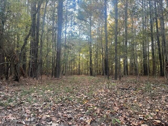 Robinson Springs Road Madison, MS 39110 - Photo 8 of 8 7