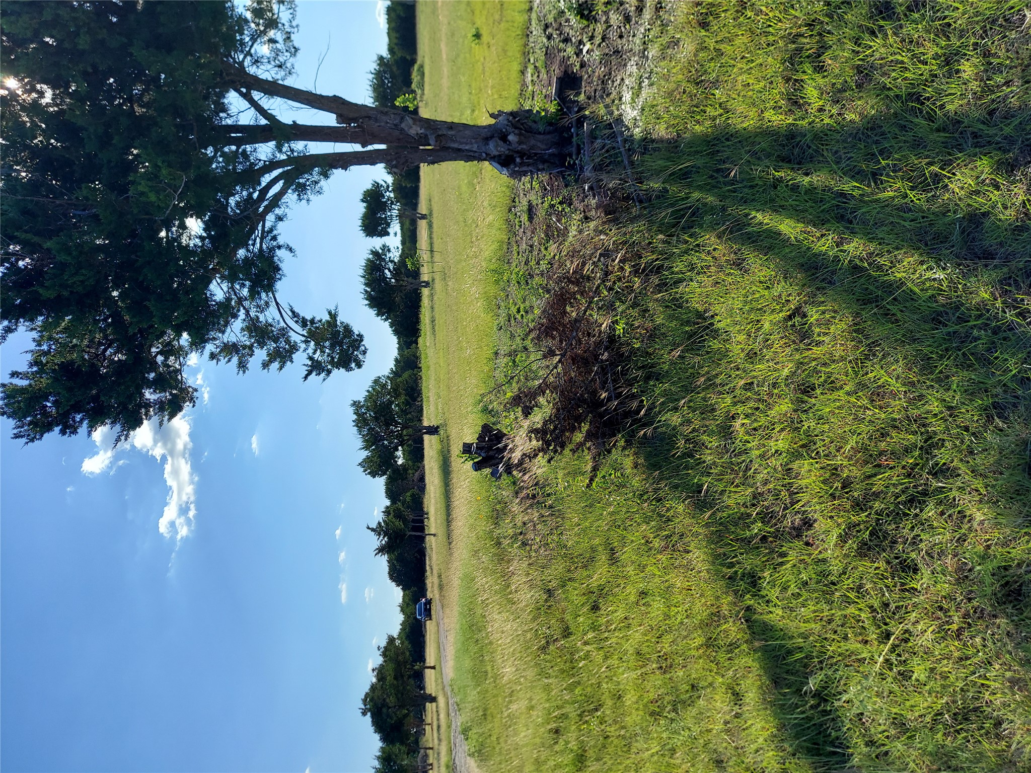 906 County Road 154 Georgetown, TX 78626 - Photo 5 of 11 Expansive grassy terrain featuring scattered mature trees and a clear sky