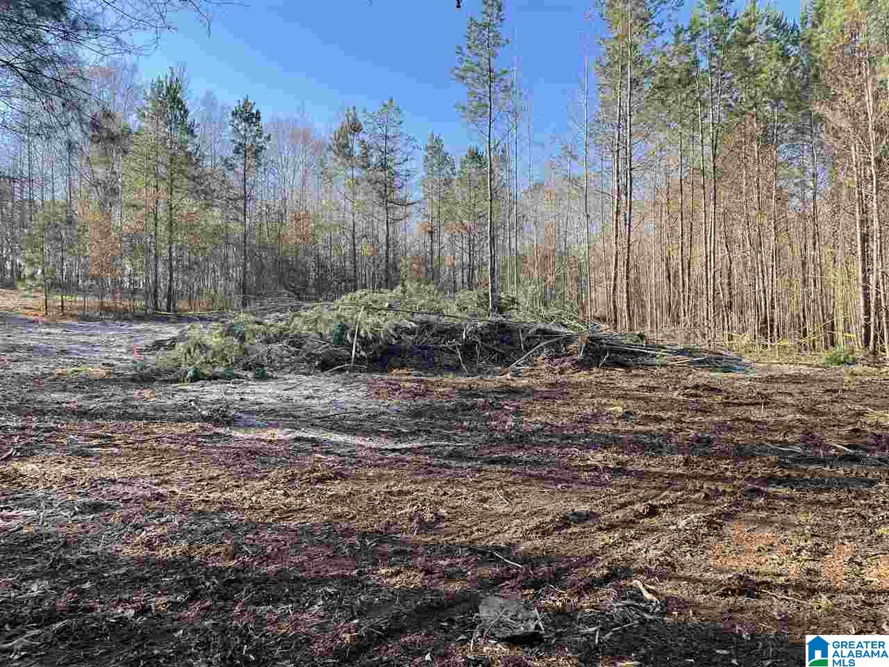 133 Sargent Road Pell City, AL 35125 - Photo 2 of 2