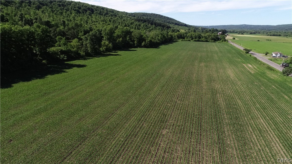 A A Oran Delphi Road Manlius, NY 13104 - Photo 1 of 1