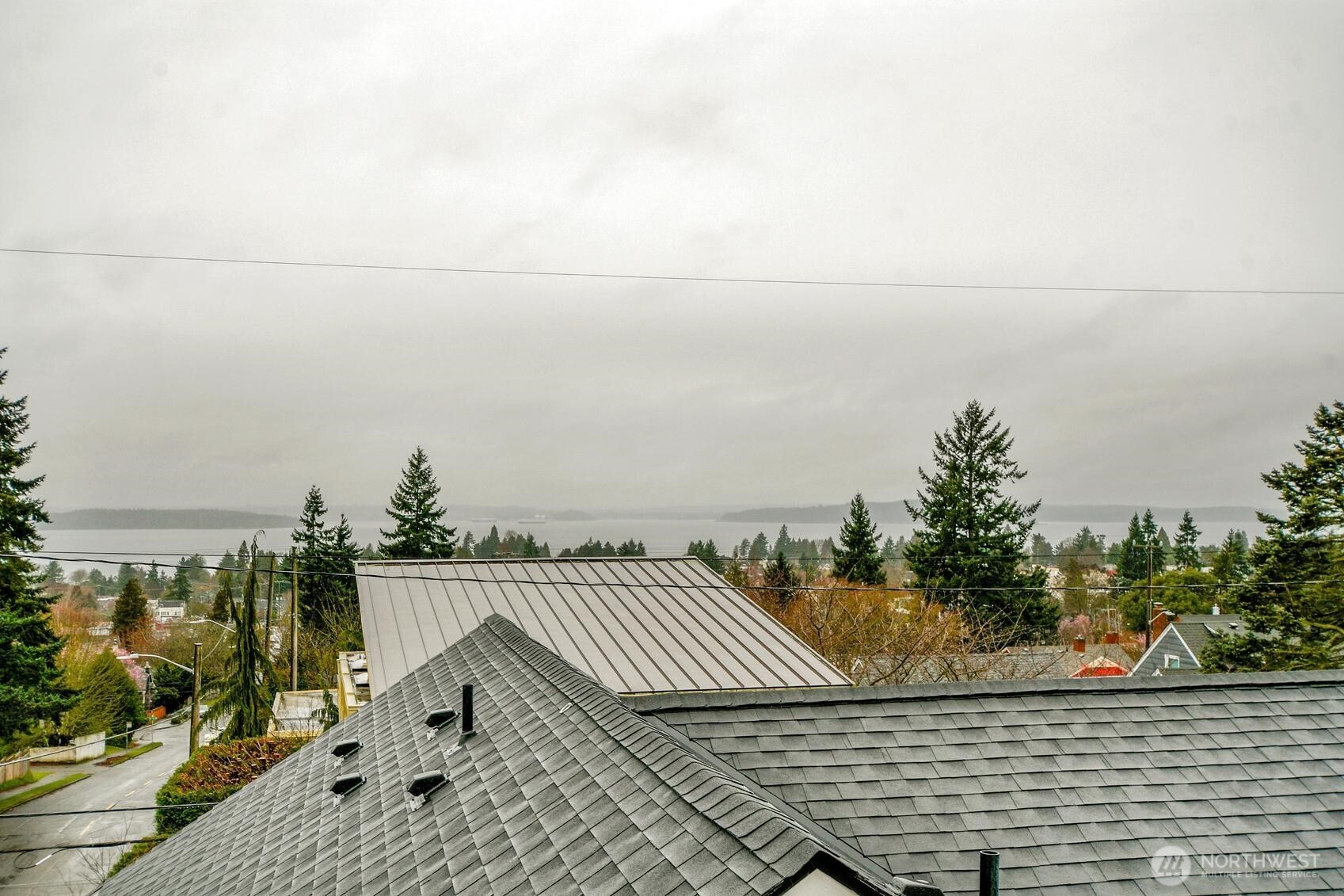 3810 Southwest Morgan Street Seattle, WA 98126 - Photo 16 of 17
