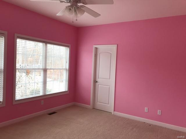31508 Mitchell Creek Road Brighton, IL 62012 - Photo 43 of 96