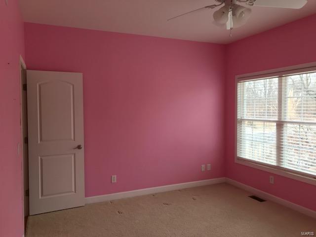 31508 Mitchell Creek Road Brighton, IL 62012 - Photo 44 of 96