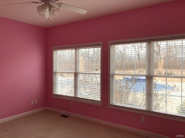 31508 Mitchell Creek Road Brighton, IL 62012 - Photo 45 of 96