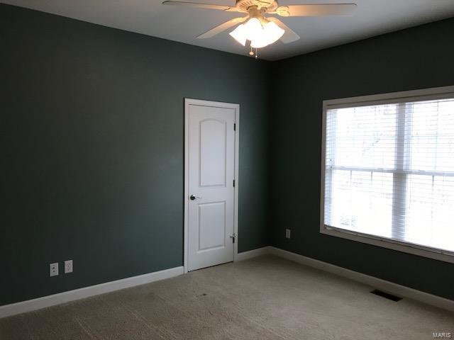 31508 Mitchell Creek Road Brighton, IL 62012 - Photo 47 of 96