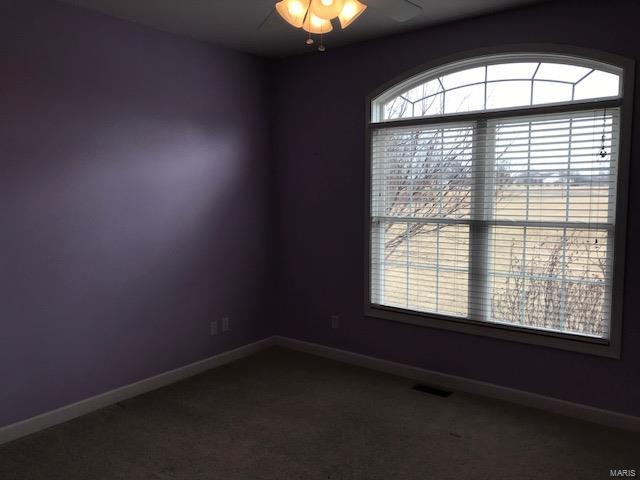 31508 Mitchell Creek Road Brighton, IL 62012 - Photo 50 of 96