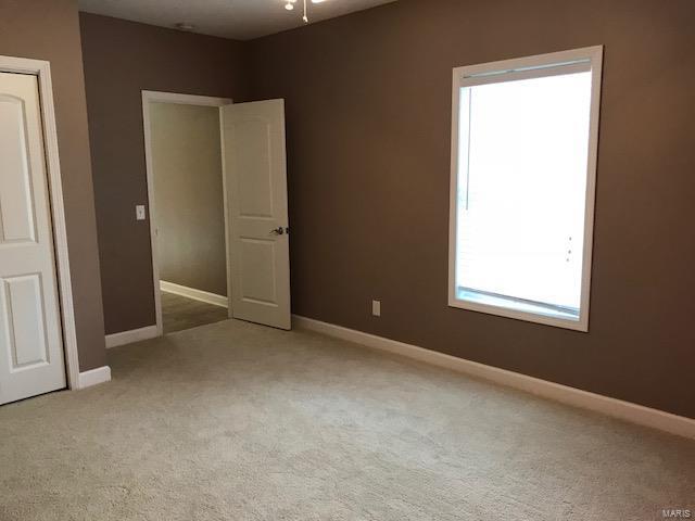 31508 Mitchell Creek Road Brighton, IL 62012 - Photo 64 of 96