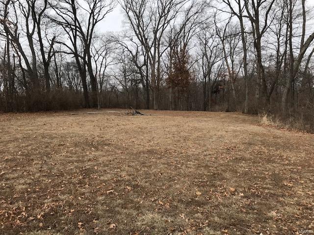 31508 Mitchell Creek Road Brighton, IL 62012 - Photo 78 of 96